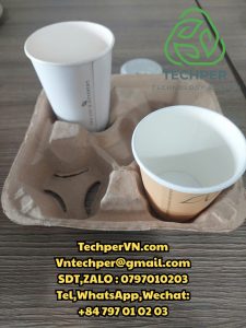 khay giấy