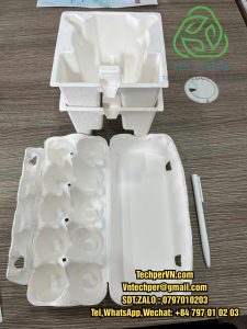 khay giấy trắng định hình